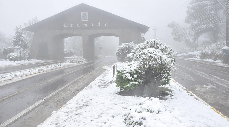 neve