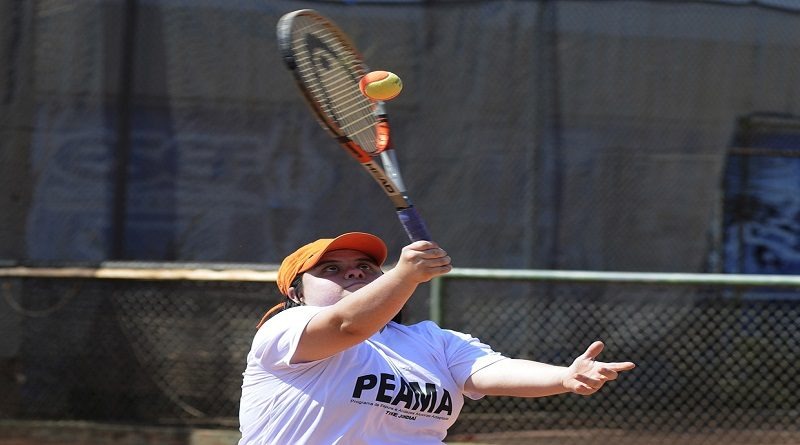 tenis PEAMA 31 1