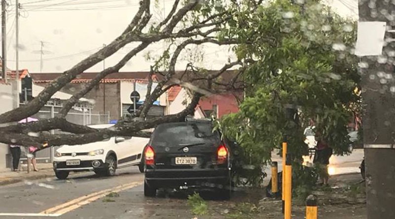 rua Brasil Celma Baron