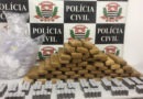 drogas dezembro dise