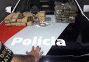 MACONHA JARDIM FEPASA