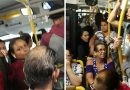 onibus rapido luxo