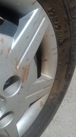 pneu carro atropelamento lorraine