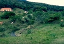 FAZENDA RIBEIRÃO