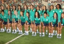Palmeiras Vinhedo