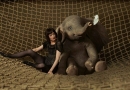 DUMBO JR