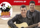 queima do alho