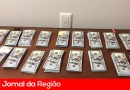 dolares vannucci copiar