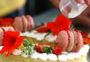 fundo social curso culinária