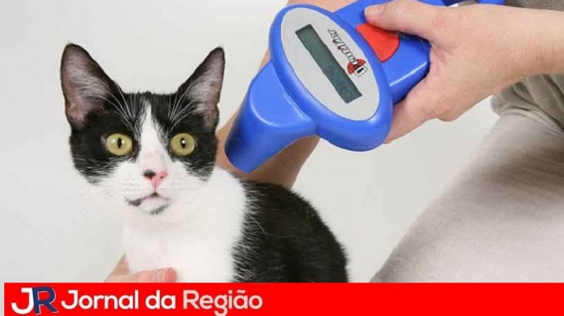 microchip animal 768x480
