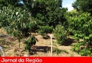 producao rural 02