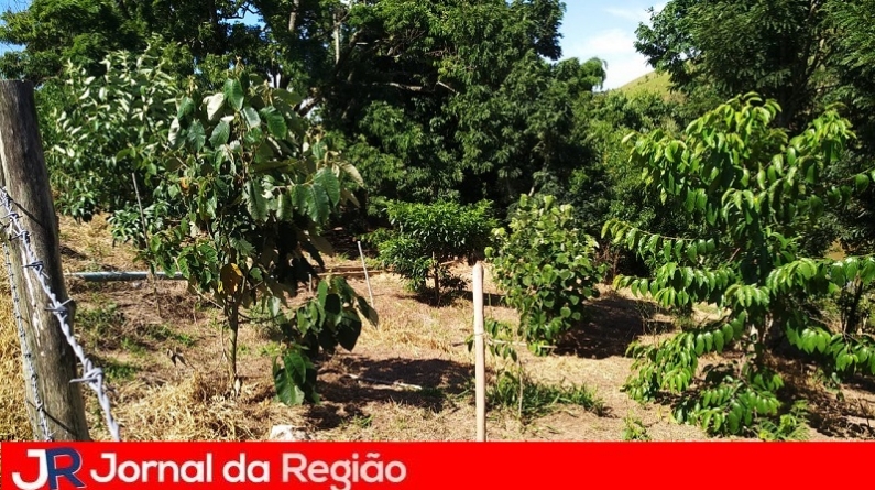 producao rural 02