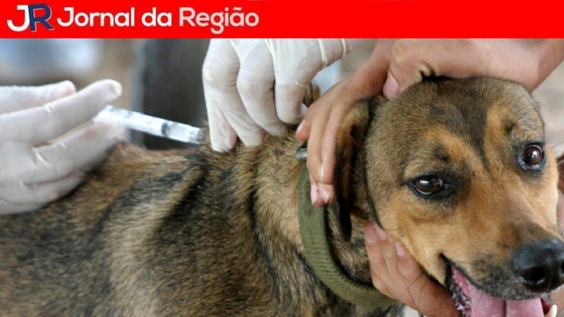 Vacinação Antirrábica 770x511