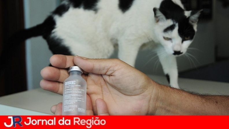 vacinacao raiva 40