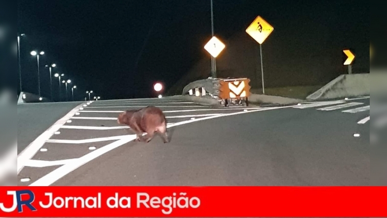 D9FB3E24 6557 4DE5 994A DA132449F406