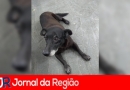 F610899D E5D7 430E B79E B507DAF0565F