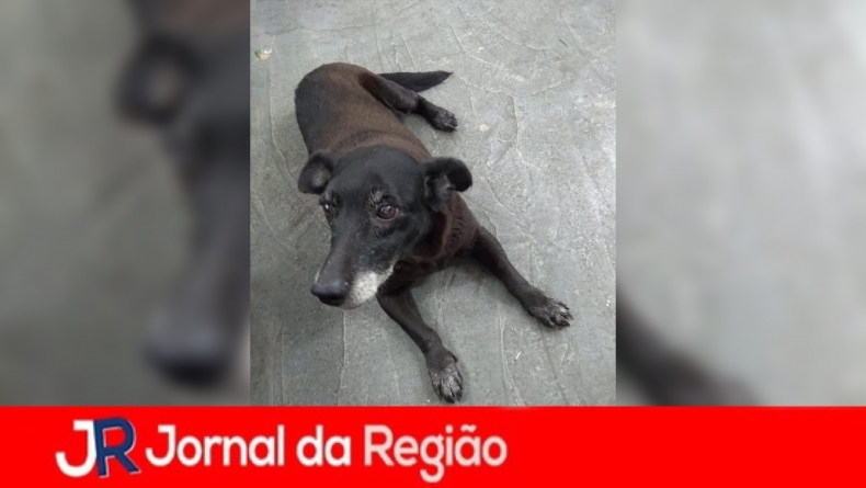 F610899D E5D7 430E B79E B507DAF0565F