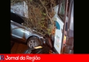 bus x carros copiar