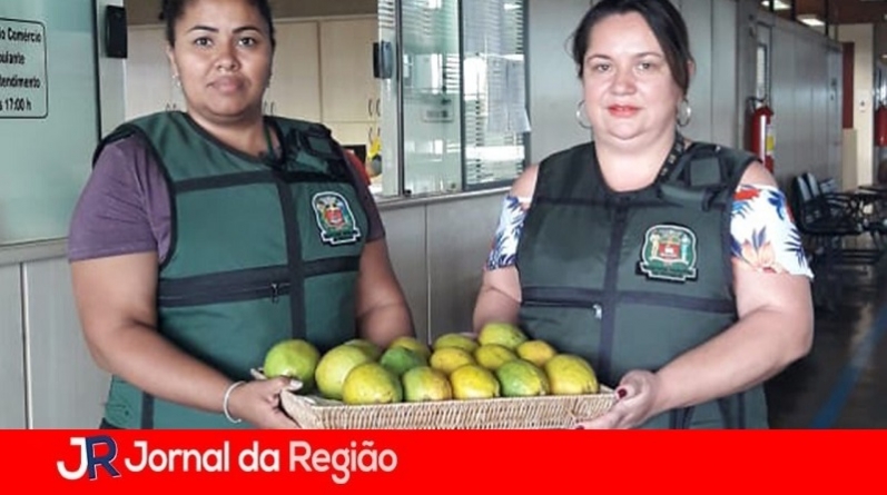 fisccomercio 1280x908