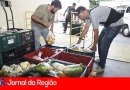dom olivio banco de alimentos 35 1280x853