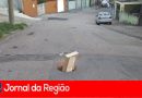 655E2545 F294 43AC 9B30 60DB9E93EB18