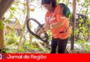 dengue