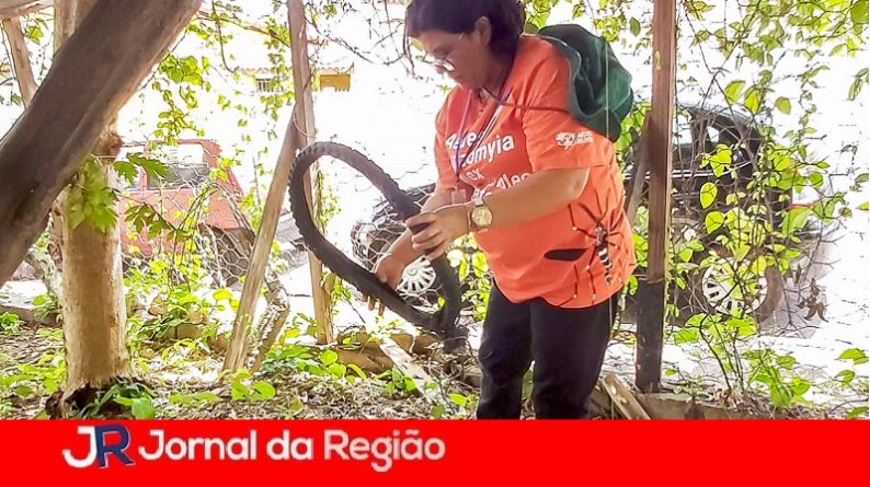 dengue
