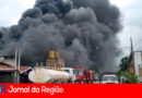 fogo jarinu copiar