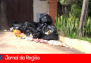 lixo campo limpo copiar