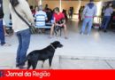 mutirao castracao caes e gatos 206