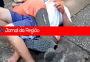 HOMCIDIO VILA PROGRESSO 2 copiar
