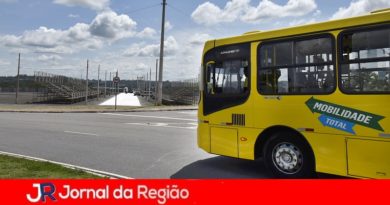 Desfiles das escolas de samba terão 15 linhas de ônibus Desfiles das escolas de samba terão 15 linhas de ônibus
