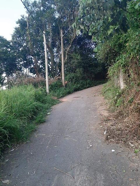 poste arrumado