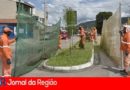 rocada mato