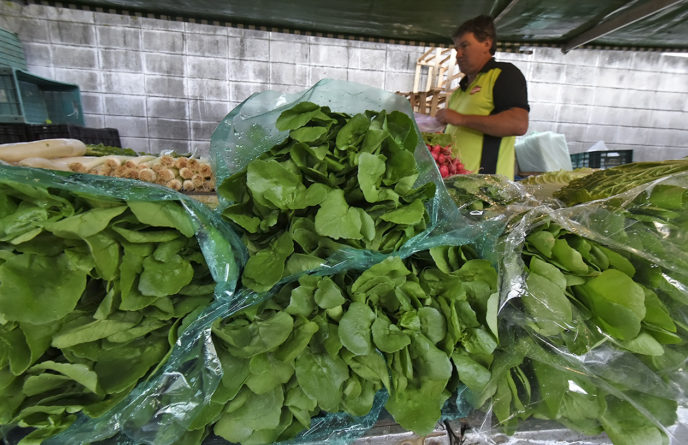 feira livre centro 177