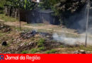 fogo mato copiar