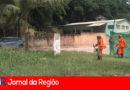 corte de mato jundiai copiar
