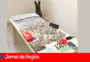 guarda drogas são camilo copiar