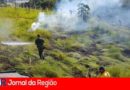 queimadas 3