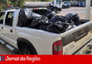 dvds piratas copiar