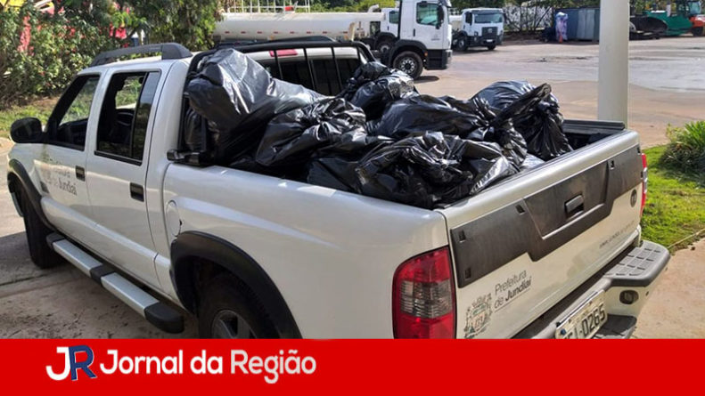 dvds piratas copiar