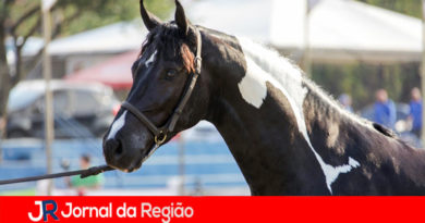 Louveira tem encontro de cavaleiros neste domingo