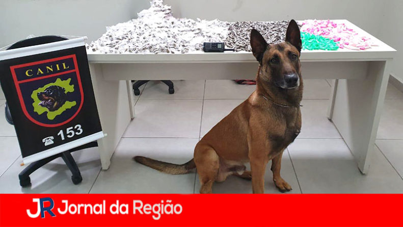 CANIL GUARDA DROGAS copiar
