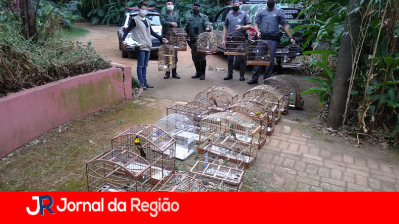 GAIOLAS AMBIENTAL MATA CILIAR copiar