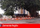 SAMUEL MARTINS COM FREDERICO NANO