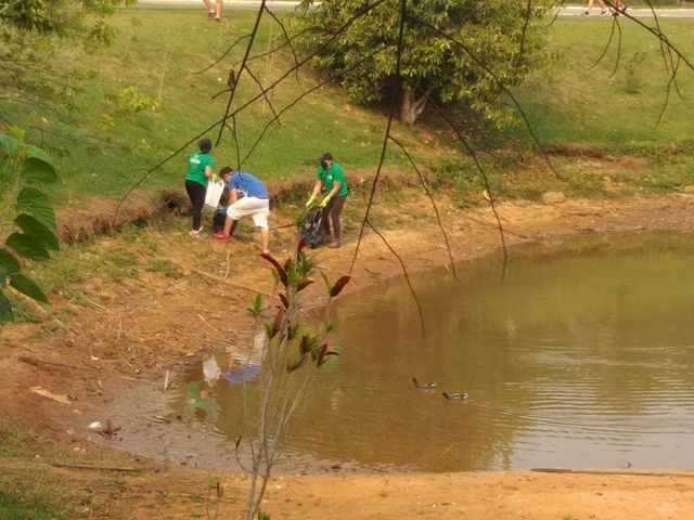 LIMPEZA LAGO 12
