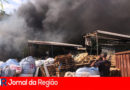 fogo reciclaveis clp copiar