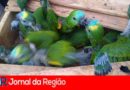 1AA049A8 20B1 49F9 93DE 9C815E9DB2BA