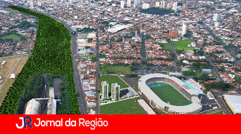 ARARAQUARA copiar
