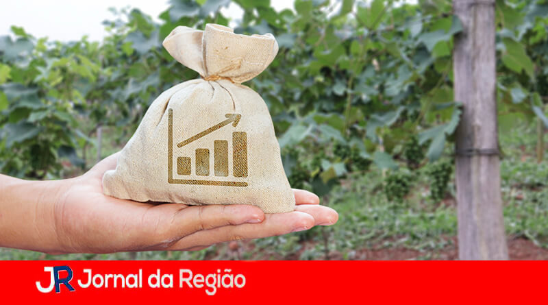 Curso de agronegócio. (Foto: Divulgação)